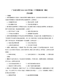 广东省大湾区2024-2025学年高二下学期期末考试历史试题（Word版附答案）