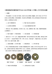 甘肃省陇南市武都实验中学2025届高三上学期11月月考历史试卷（含答案）