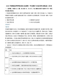 2025届陕西省西安市西北工业大学附属中学高三下学期第六次适应性训练历史试题（含答案解析）