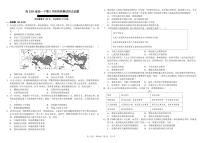 四川省成都市树德中学2024-2025学年高一下学期5月月考试题历史试卷+答案