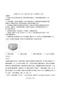 湖南省邵阳市2024_2025学年高二历史下学期期末考试试题含解析