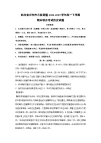 四川省泸州市三校联盟2024-2025学年高一下学期期末联合考试历史试题（解析版）