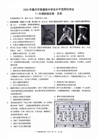 2025届重庆市康德卷高三下学期11月调研卷-历史试卷（含答案）