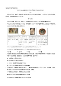 2026届北京市普通高中学业水平等级性考试适应性练习历史试题（含答案）