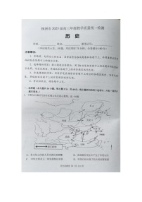 湖南省株洲市2025届高三上学期1月教学质量统一检测-历史试卷（含答案）