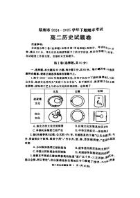 河南省郑州市2024-2025学年高二下学期期末考试历史试卷+答案