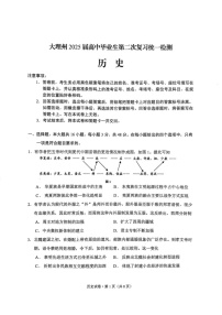云南省大理州2025届高三上学期第二次复习统一检测历史试题（含答案）