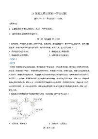四川省眉山市东坡区眉山中学2026届高三上学期模拟预测一历史试题（Word版附解析）