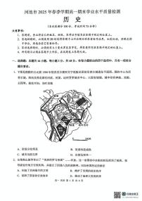 广西壮族自治区河池市2024-2025学年高一下学期期末学业水平质量检测历史试题（含答案）
