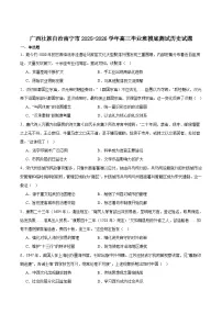 广西南宁市2026届高三上学期毕业班摸底测试历史试卷（含答案）