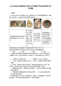 2026届北京市普通高中学业水平等级性考试适应性练习历史试题（含答案）