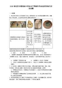 2026届北京市普通高中学业水平等级性考试适应性练习历史试题(含答案)