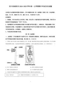 四川省绵阳市2024-2025学年高一上学期期中考试历史试题含答案