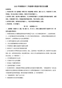 河南省南阳市2025-2026学年高三上学期期中质量评估历史试题（含解析）