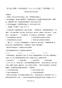 四川省仁寿第一中学南校区2025届高三下学期模拟考试（九）历史试题（Word版附解析）