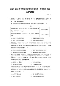 2025—2026学年度山东省泰安市高二上学期期中考试历史试题（含答案）