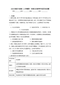 2025-2026学年四川省高三上学期第一次联合诊断性考试历史试题（附答案解析）