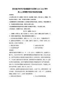 四川省泸州市泸县普通高中共同体2025-2026学年高二上学期期中联合考试历史试题(解析版)