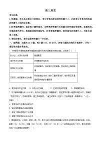 湖南省湘一名校联盟2026届高三上学期期中考试历史试卷（Word版附解析）