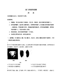 甘肃省定西市临洮县2024_2025学年高二下学期期末阶段性检测历史试题（扫描版，含答案）