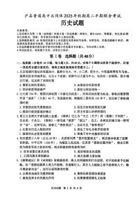 四川省泸州市泸县普通高中共同体2025-2026学年高二上学期11月期中历史试题