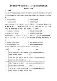 广东省惠州市实验中学2026届高三上学期12月阶段性检测历史试题（含答案）
