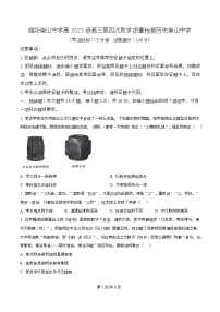四川省绵阳市南山中学2025届高三下学期模拟考试（四）历史试题（Word版附解析）
