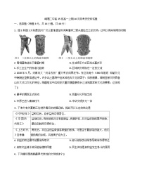 四川省峨眉第二中学校2025-2026学年高一上学期10月月考历史试题（含答案）