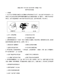 宁夏回族自治区石嘴山市第一中学2025-2026学年高一上学期期中考试历史试题（含答案）