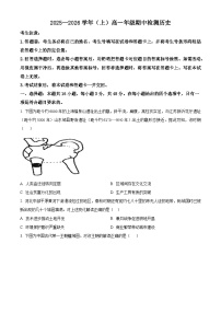 河南省天一大联考2025-2026学年高一上学期期中检测历史试题（Word版附解析）