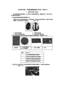 上海市浦东新区2025-2026学年高三上学期期中质量检测历史试卷