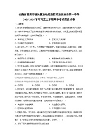 云南省普洱市镇沅彝族哈尼族拉祜族自治县第一中学2025-2026学年高三上学期期中考试历史试卷
