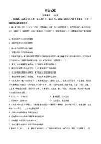 湖北省十一校2026届高三上学期第一次联考历史试卷（Word版附解析）