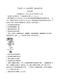 河南省南阳市方城县第一高级中学2025-2026学年高二上学期12月月考历史试题