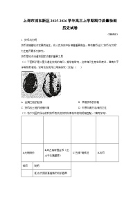 上海市浦东新区2025-2026学年高三上学期期中质量检测历史试卷（学生版）