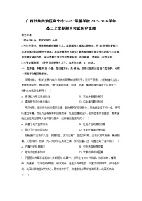 广西壮族自治区南宁市“4+N”联盟学校2025-2026学年高二上学期期中考试历史试卷（学生版）