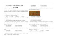 山东省济宁市微山县第二中学2025-2026学年高一上学期12月测试历史试题（含答案）
