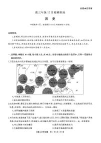 T8联考2026届高三上学期12月检测训练历史(湖南)试卷+答案