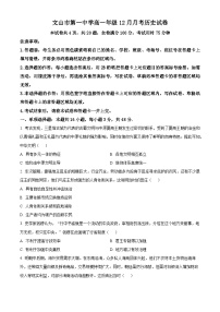 云南省文山壮族苗族自治州文山市第一中学2025-2026学年高一上学期12月月考历史试题（含答案）含答案解析