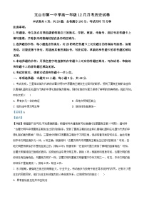 精品解析：云南省文山壮族苗族自治州文山市文山市第一中学2025-2026学年高一上学期12月月考历史试题（解析版）
