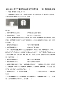 2024-2025学年广东省阳江市部分学校联考高一（上）期末历史试卷-自定义类型