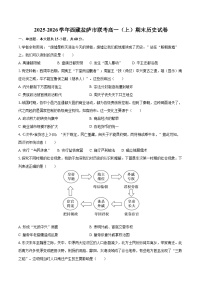 2025-2026学年西藏拉萨市联考高一（上）期末历史试卷-自定义类型