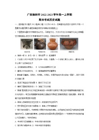 广西桂林市2022-2023学年高一上学期期末考试历史试卷（学生版）