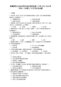 2026届新疆维吾尔自治区多校高三上学期11月联考历史试题（含答案）