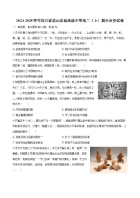2024-2025学年四川省眉山实验高级中学高二（上）期末历史试卷-自定义类型