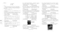 河南省青桐鸣大联考2025-2026学年高三上学期1月月考历史试卷+答案