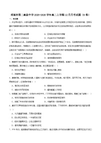 2025—2026学年度河南项城市第二高级中学高二上学期12月月考历史（B）试卷（含答案）