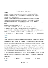 安徽省合肥市2025_2026学年高一历史上学期期中试题含解析