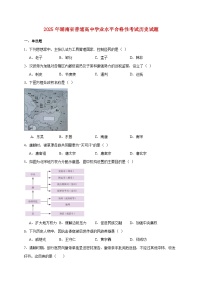 2025年湖南省普通高中学业水平合格性考试历史试题【附答案】