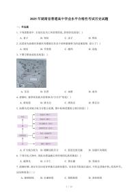 2025年湖南省普通高中学业水平合格性考试历史试卷（含答案）